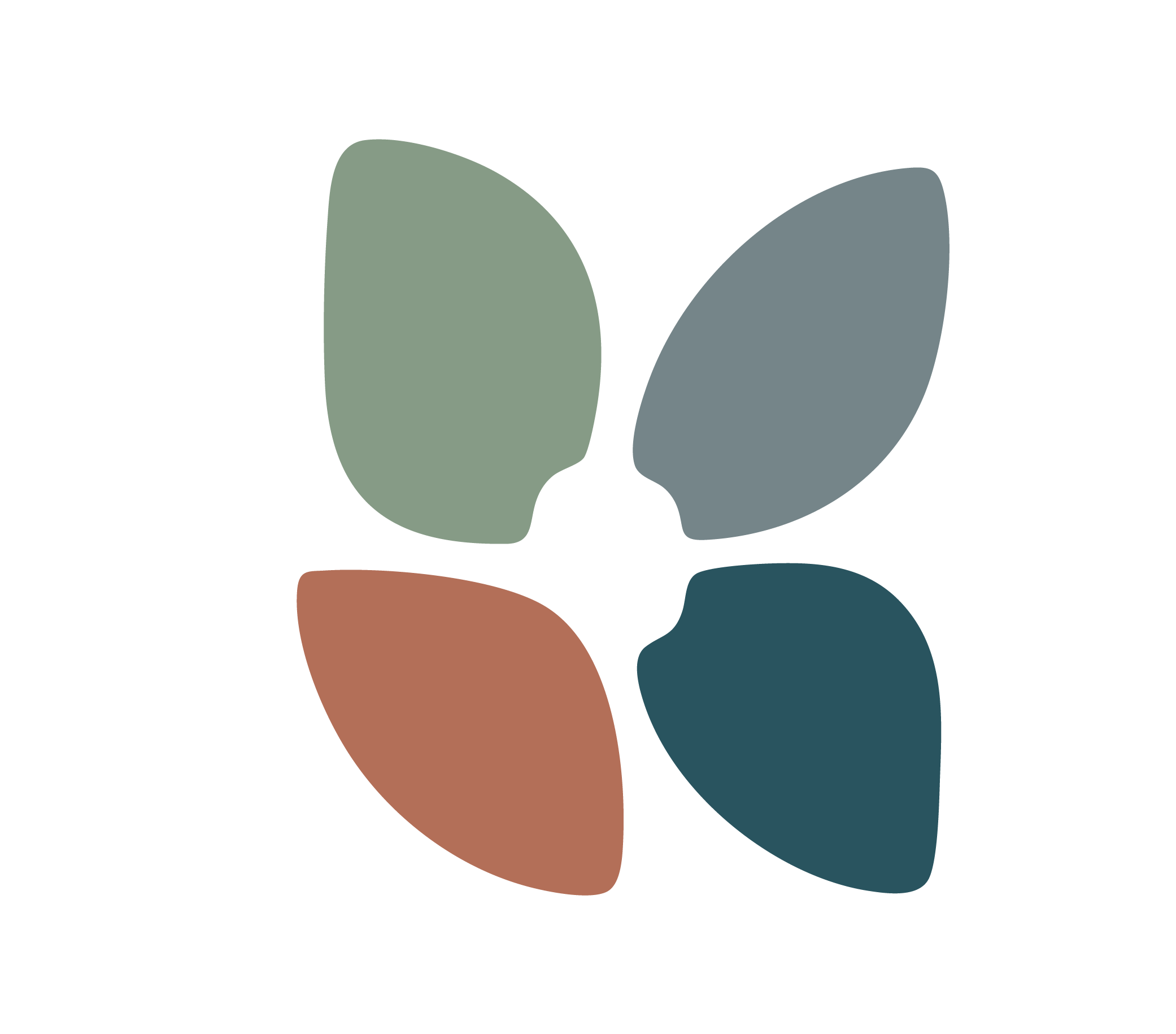 Skin Confidence Group